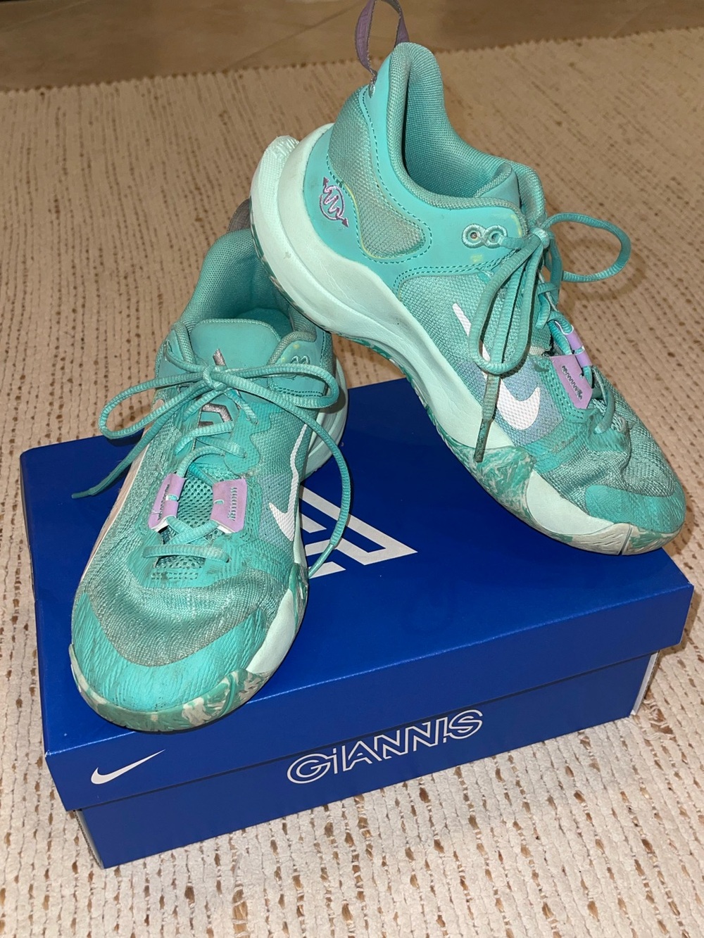 Nike Giannis Antetokounmpo basketball shoes